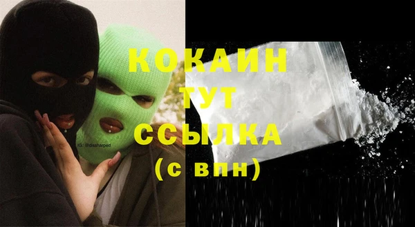 Альфа ПВП Инсар