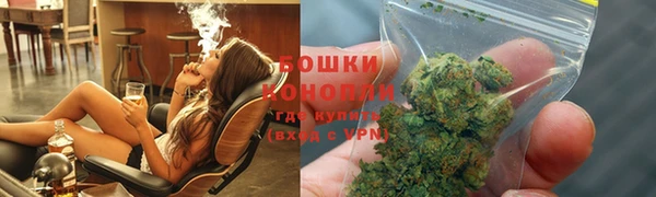 прущие грибы Каменка