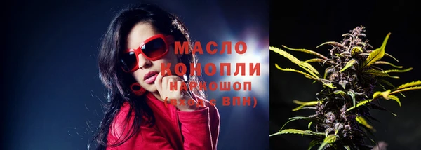 Альфа ПВП Инсар