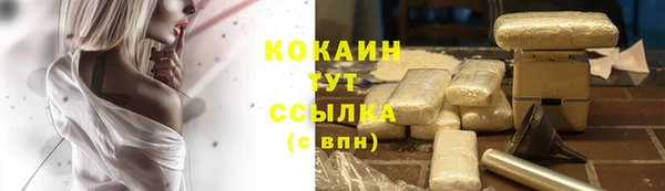 Альфа ПВП Инсар