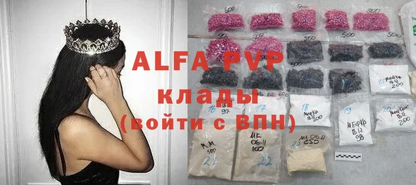 Альфа ПВП Инсар