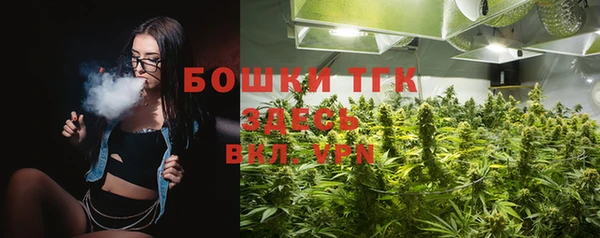 Альфа ПВП Инсар
