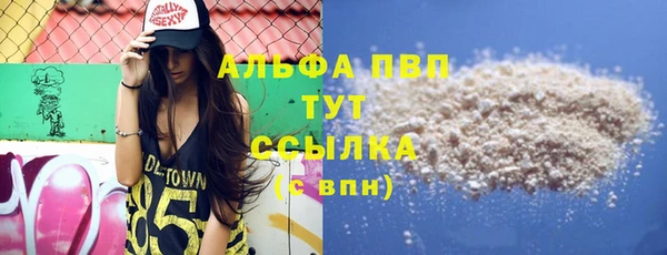 спиды Каменногорск