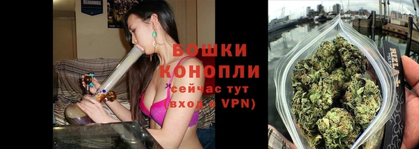 Альфа ПВП Инсар