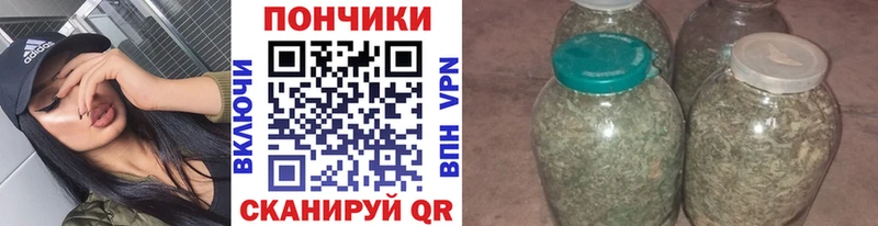 Купить закладки  Вязьма  Бошки Шишки семена 